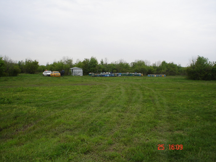 DSC00105