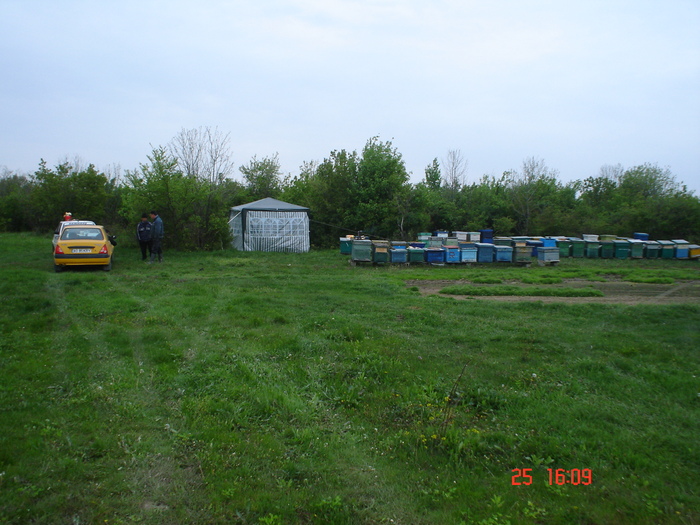 DSC00106