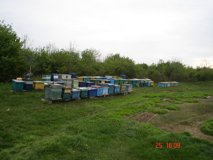 DSC00107