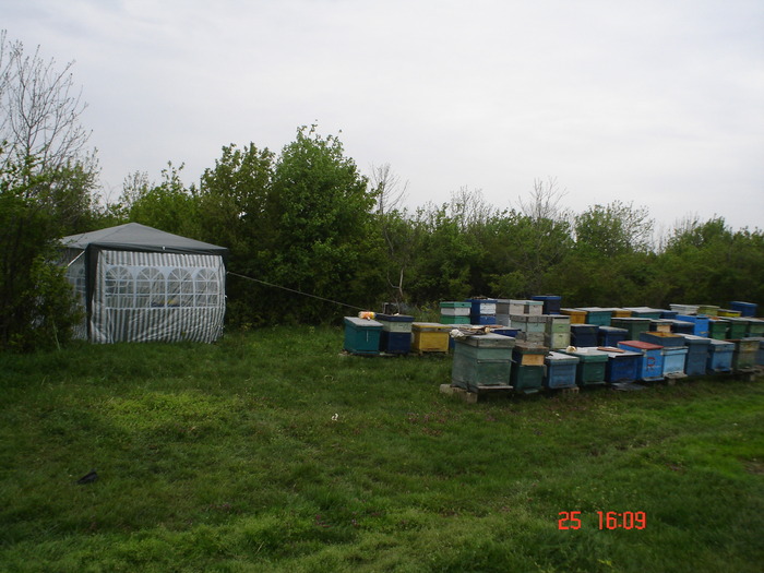 DSC00108