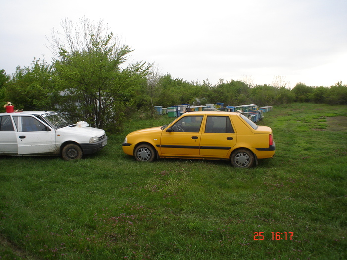 DSC00116