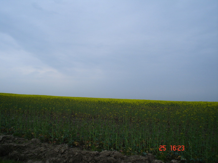 DSC00120