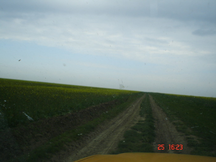 DSC00123