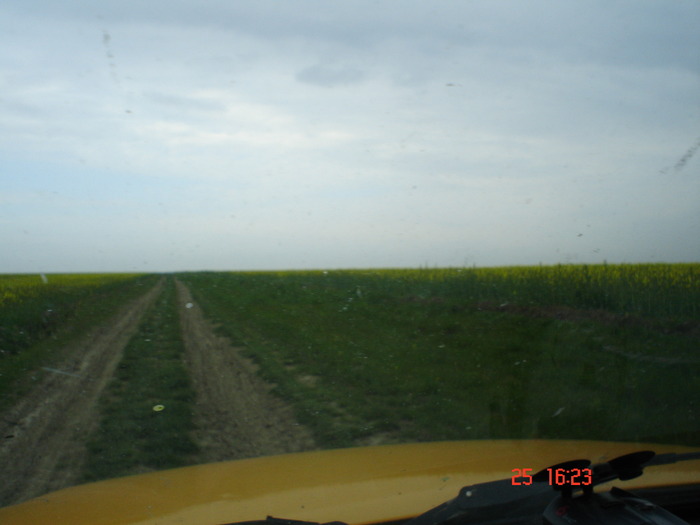 DSC00124