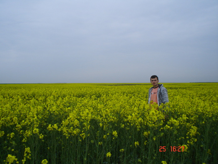 DSC00126