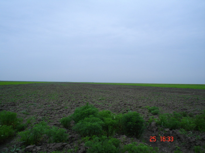 DSC00129