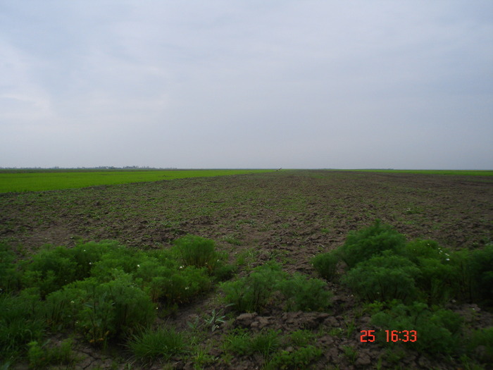 DSC00130