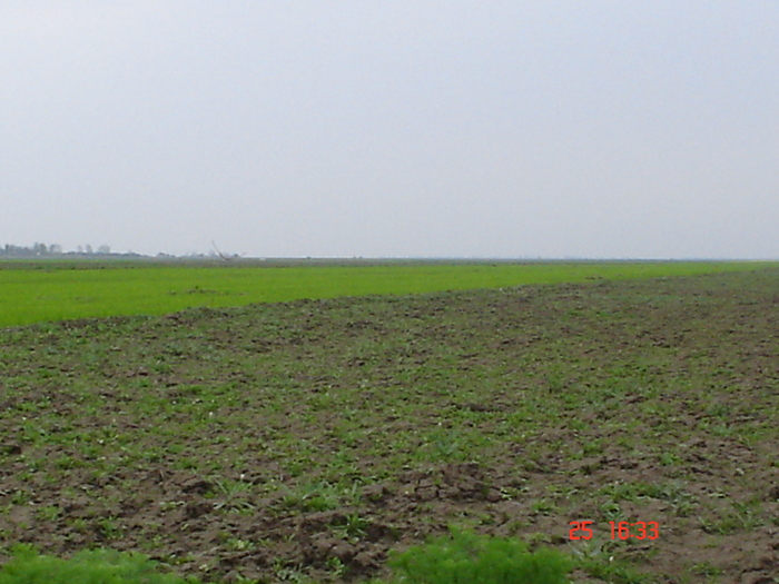DSC00131