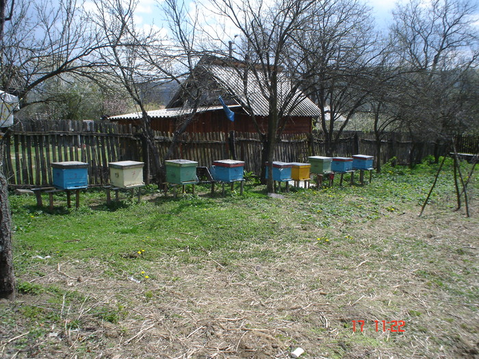 DSC00001