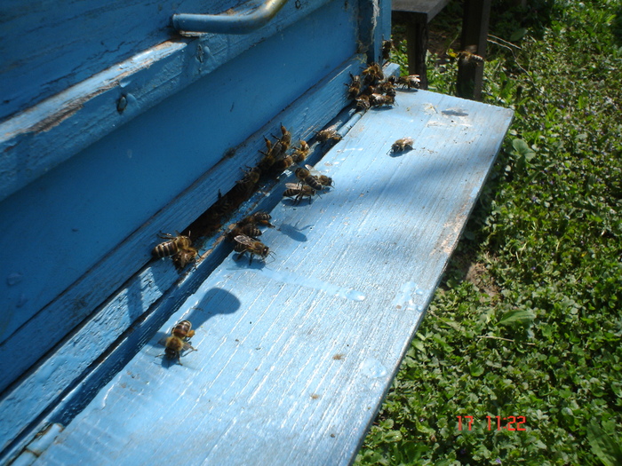 DSC00003