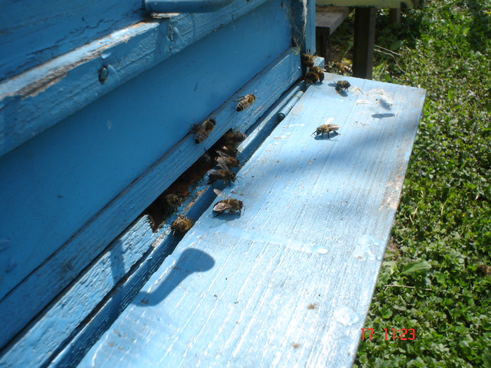 DSC00005