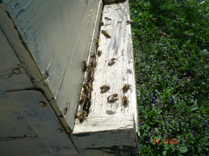 DSC00006