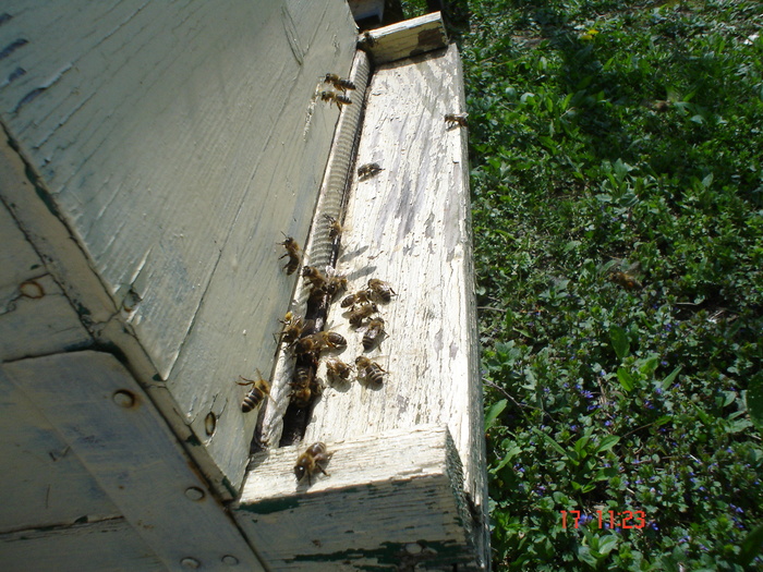 DSC00007
