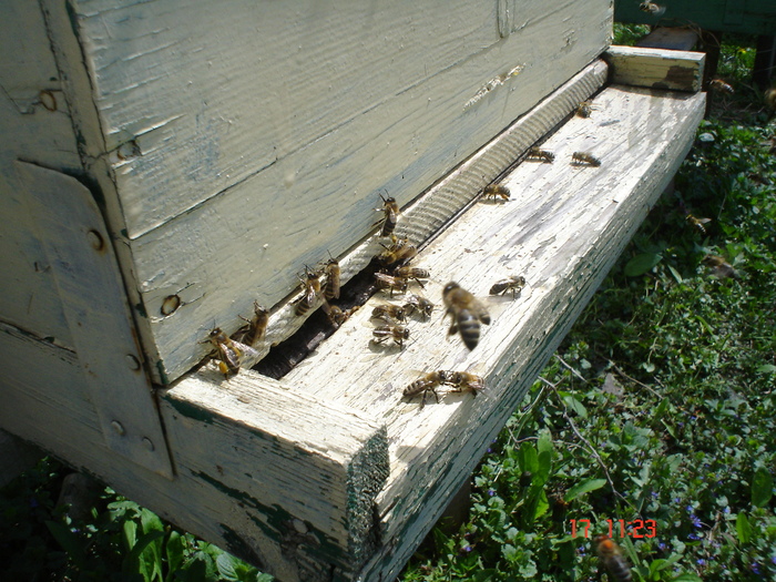 DSC00008