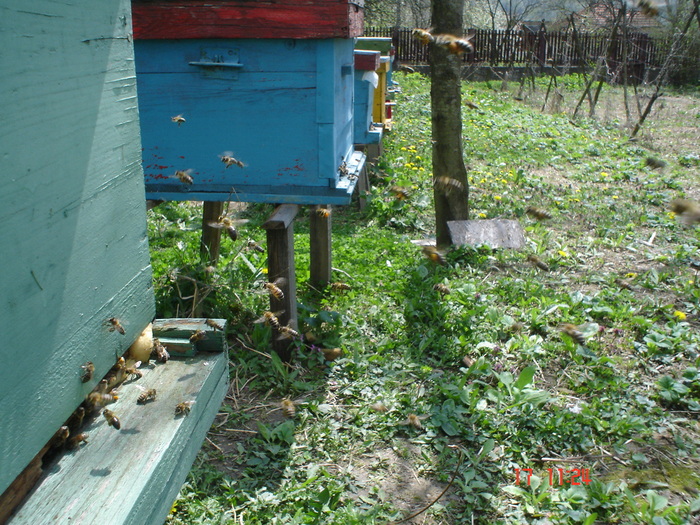 DSC00010