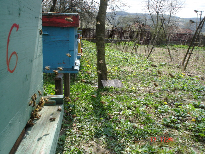DSC00011