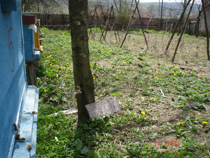 DSC00013