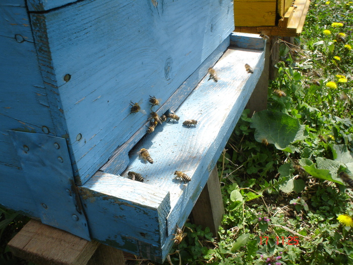 DSC00014