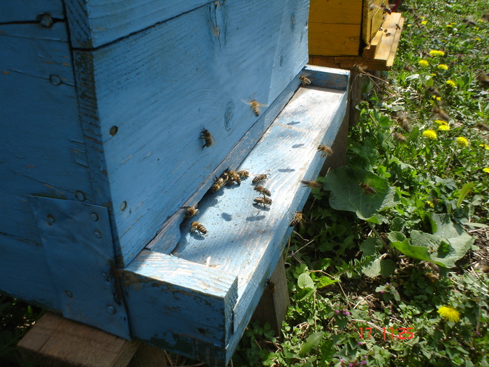 DSC00015