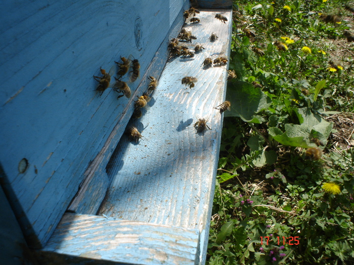 DSC00020