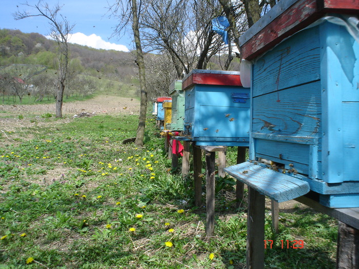 DSC00036