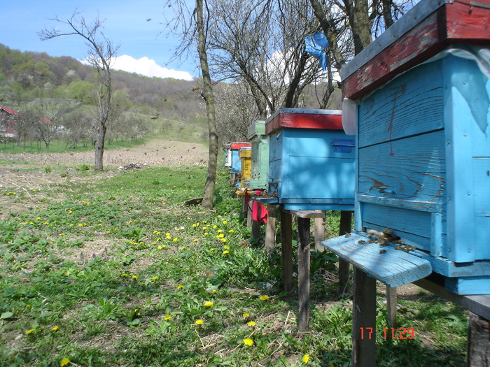 DSC00037