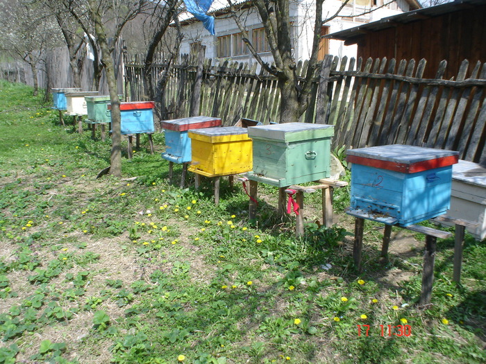 DSC00038