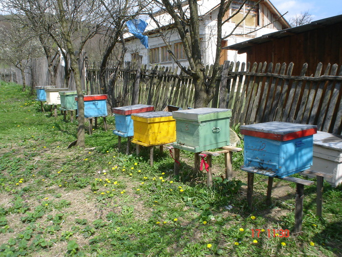 DSC00039
