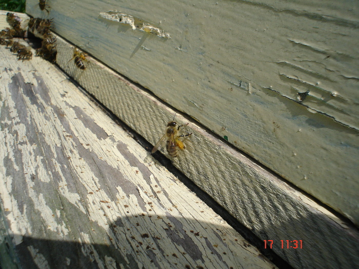 DSC00042