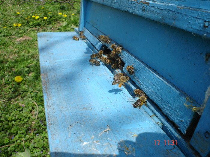 DSC00044