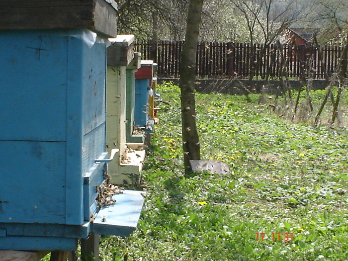 DSC00047