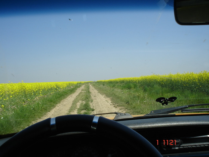 DSC00359