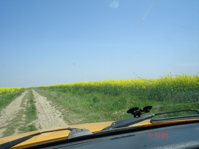 DSC00358