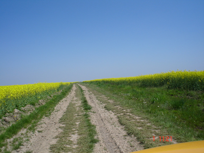 DSC00357