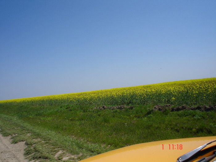 DSC00350