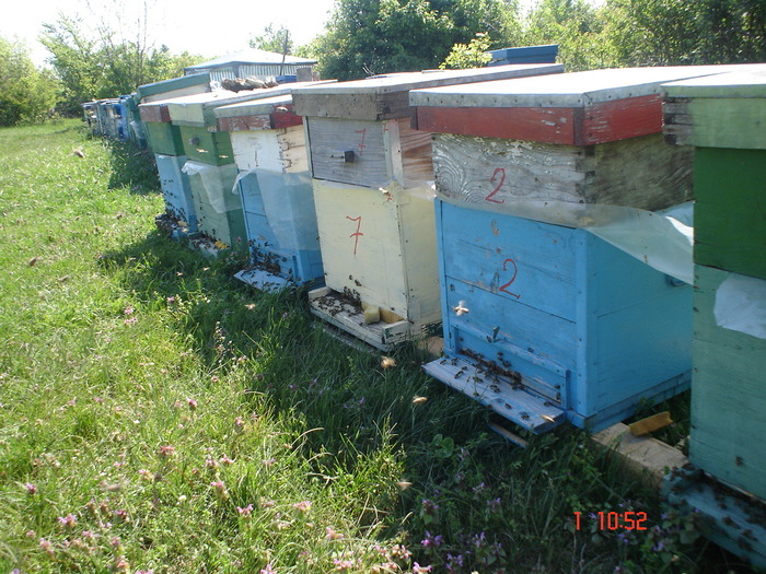 DSC00327