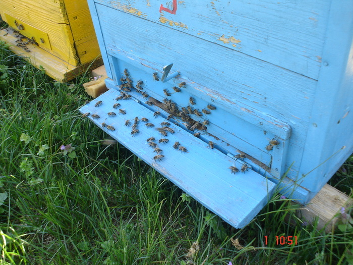 DSC00322