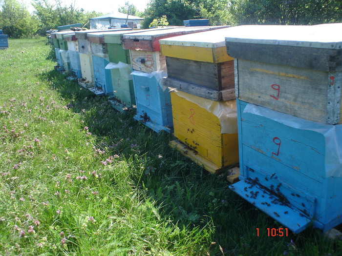 DSC00321