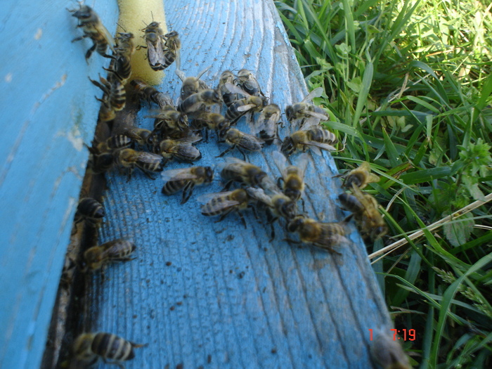 DSC00314