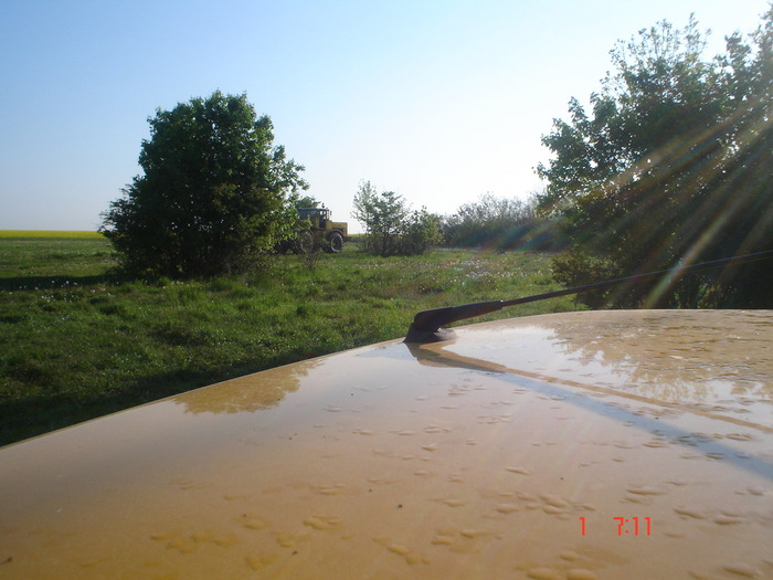 DSC00310 - APICULTURA 2010