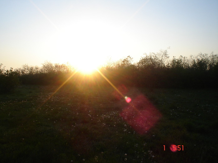 DSC00307 - APICULTURA 2010