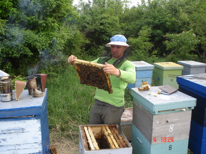 DSC00399 - APICULTURA 2010