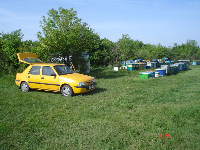 DSC00430 - APICULTURA 2010