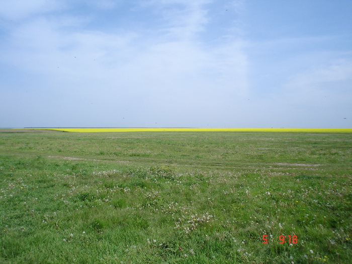 DSC00433 - APICULTURA 2010