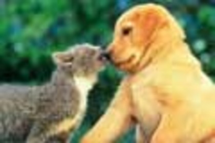 d42f874c-519f-411a-b4d6-6d3b7968318a