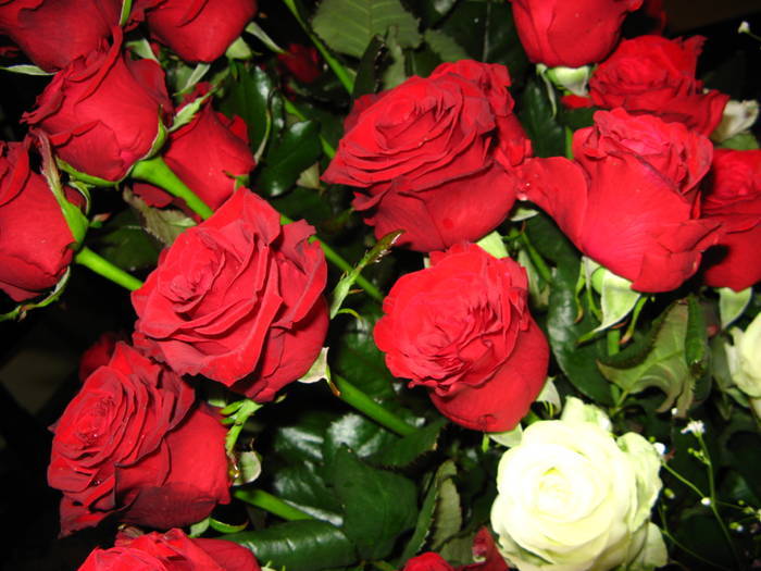 WNHGFDAPQSTGAOBQXXJ - Cateva pozitzseee