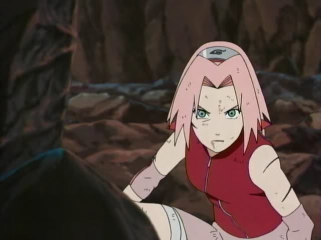 17 - Sakura Shippuden