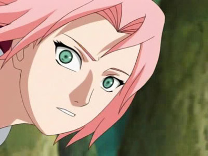 sakura-2