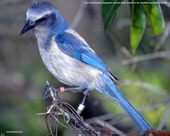 Vreau sa te cunosc mai bine...Am nevoie de cineva ma simt singura