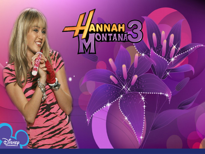 hm-hannah-montana-11224234-1024-768 - Hannah Montana 3 wallpapere